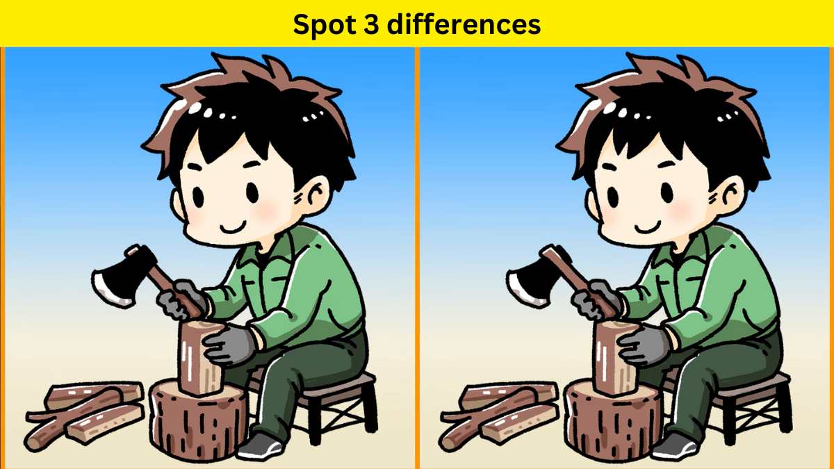 Spot 3 differences in 12 seconds