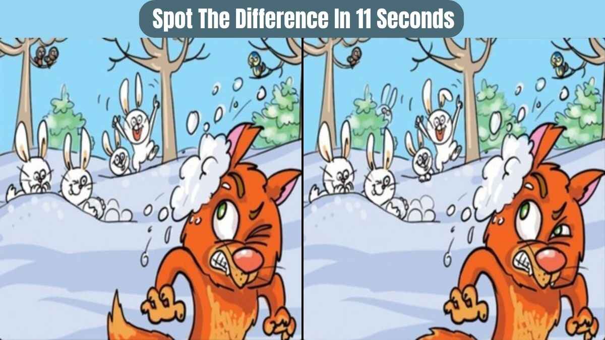 Are 11 Seconds Enough For You To Spot 10 Differences?