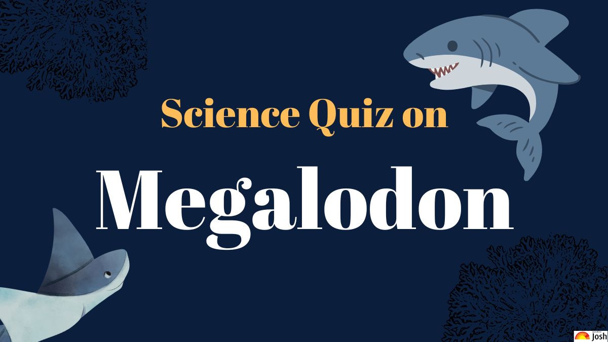 Test Your Knowledge About Deadliest Shark