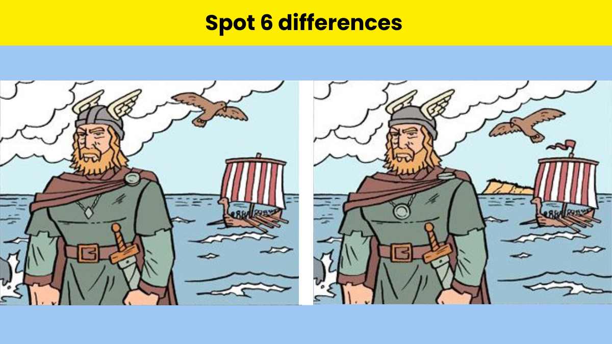 Spot 5 differences in 18 seconds