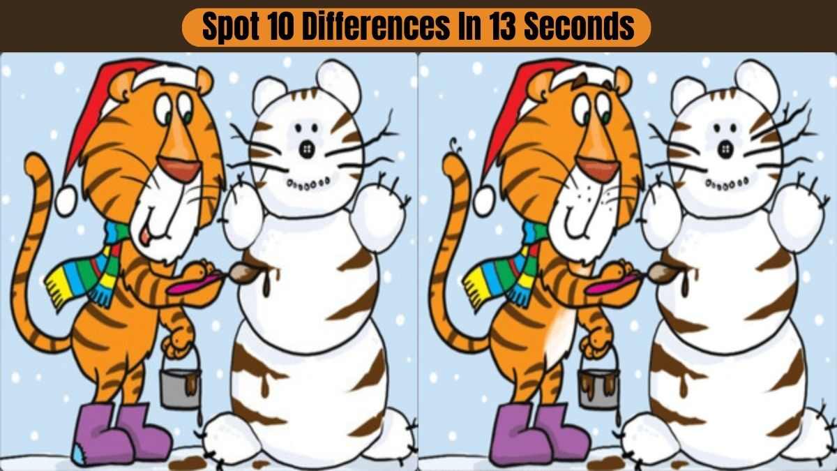 Spot 10 Differences In 13 Seconds