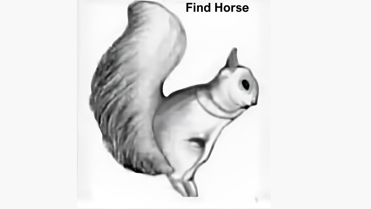 Seek and Find Puzzle: Find the Hidden Horse in 5 Seconds