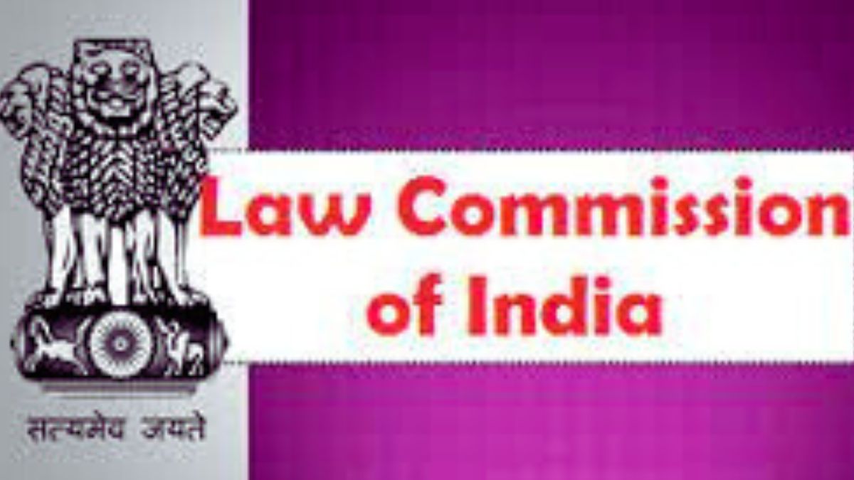 What is the law commission?