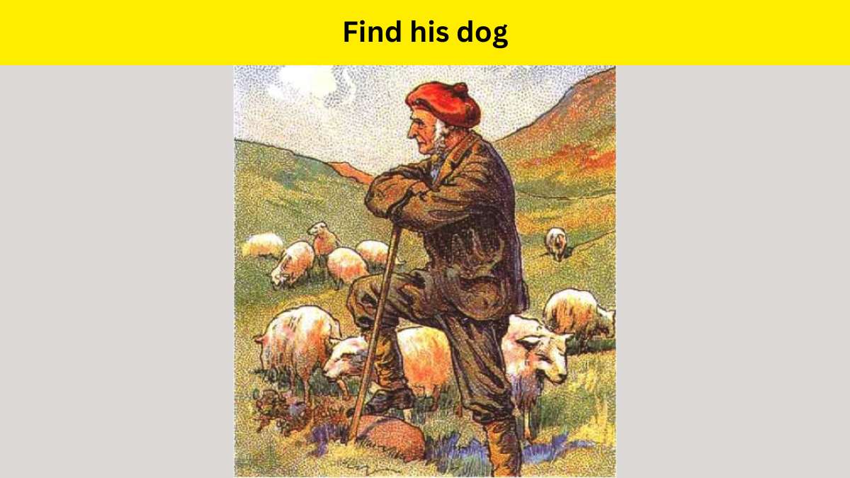 Optical Illusion- Find the shepherd’s dog