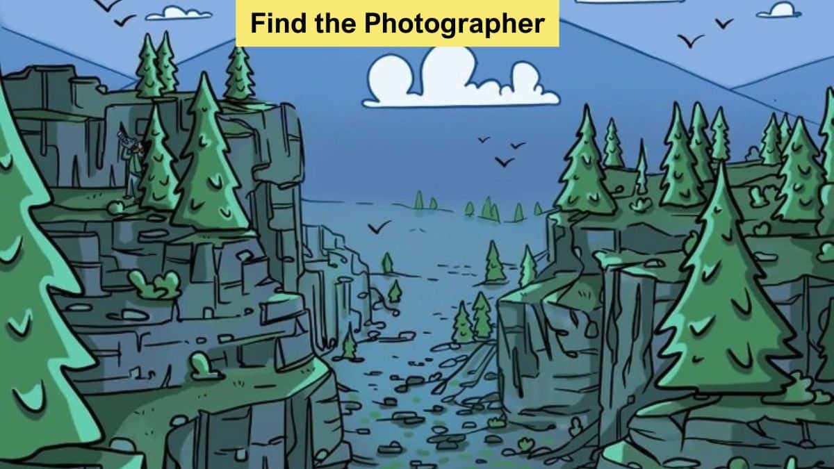 Optical Illusion Vision Test: Find Photographer in the Valley in 7 Seconds