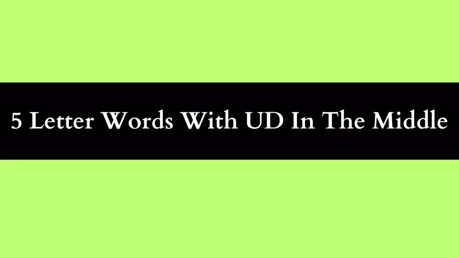 5 Letter Words With UD In The Middle, List of 5 Letter Words With UD In The Middle