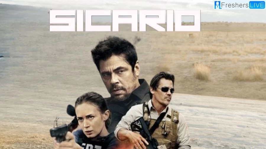 Is Sicario Based on a True Story? Cast, Plot and Where to Watch?