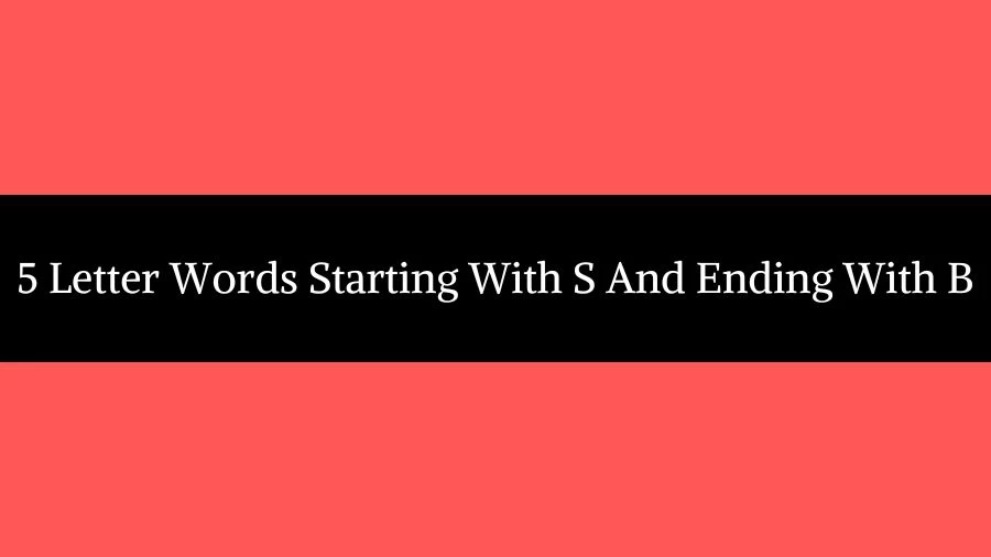 5 Letter Words Starting With S And Ending With B List of 5 Letter Words Starting With S And Ending With B