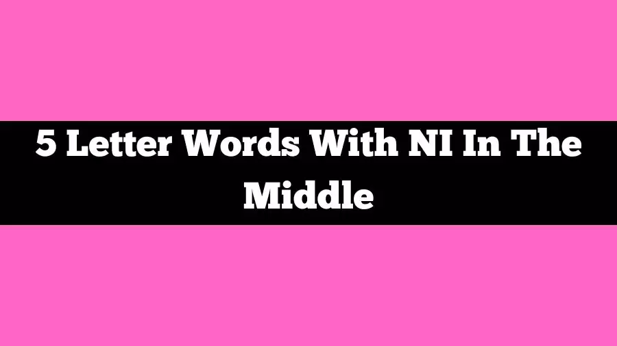 5 Letter Words With NI In The Middle, List of 5 Letter Words With NI In The Middle