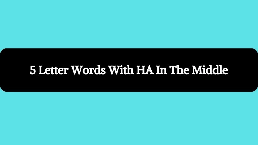 5 Letter Words With HA In The Middle, List of 5 Letter Words With HA In The Middle