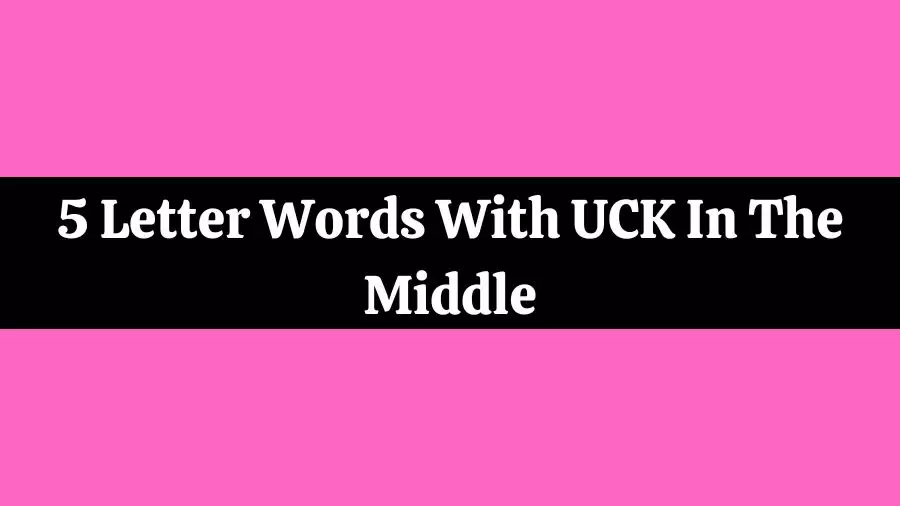 5 Letter Words Middle With UCK All Words List