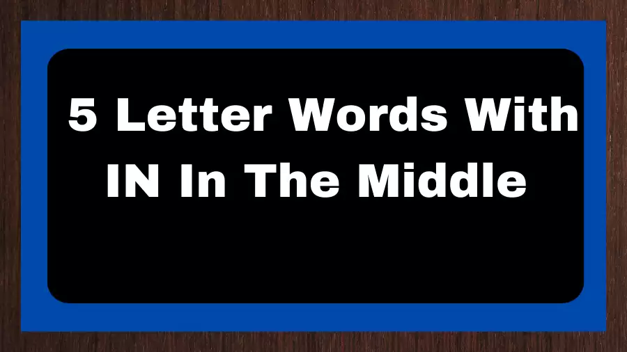 5 Letter Words With IN In The Middle, List of 5 Letter Words With IN In The Middle