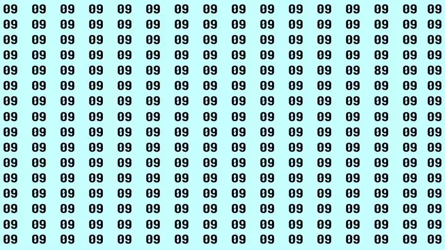 Observation Visual Test: If you have Hawk Eyes Find the Number 89 among 09 in 15 Secs