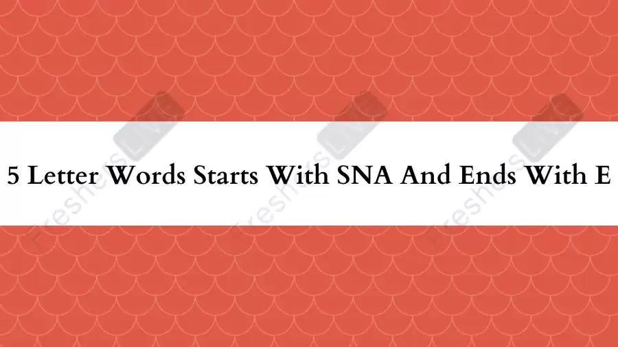 5 Letter Words Starts With SNA And Ends With E All Words List