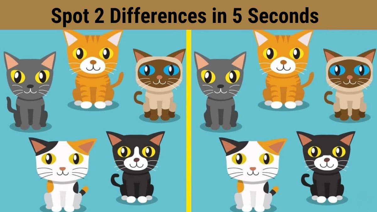 Spot 2 Differences in 5 Seconds