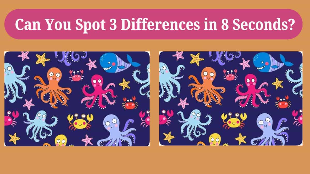 Can You Spot 3 Differences in 8 Seconds?