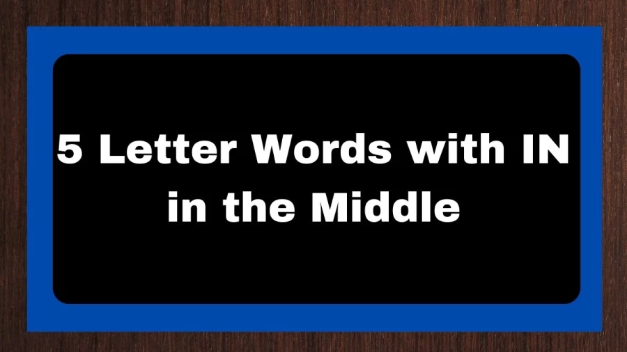 5 Letter Words with IN in the Middle, List Of 5 Letter Words with IN in the Middle