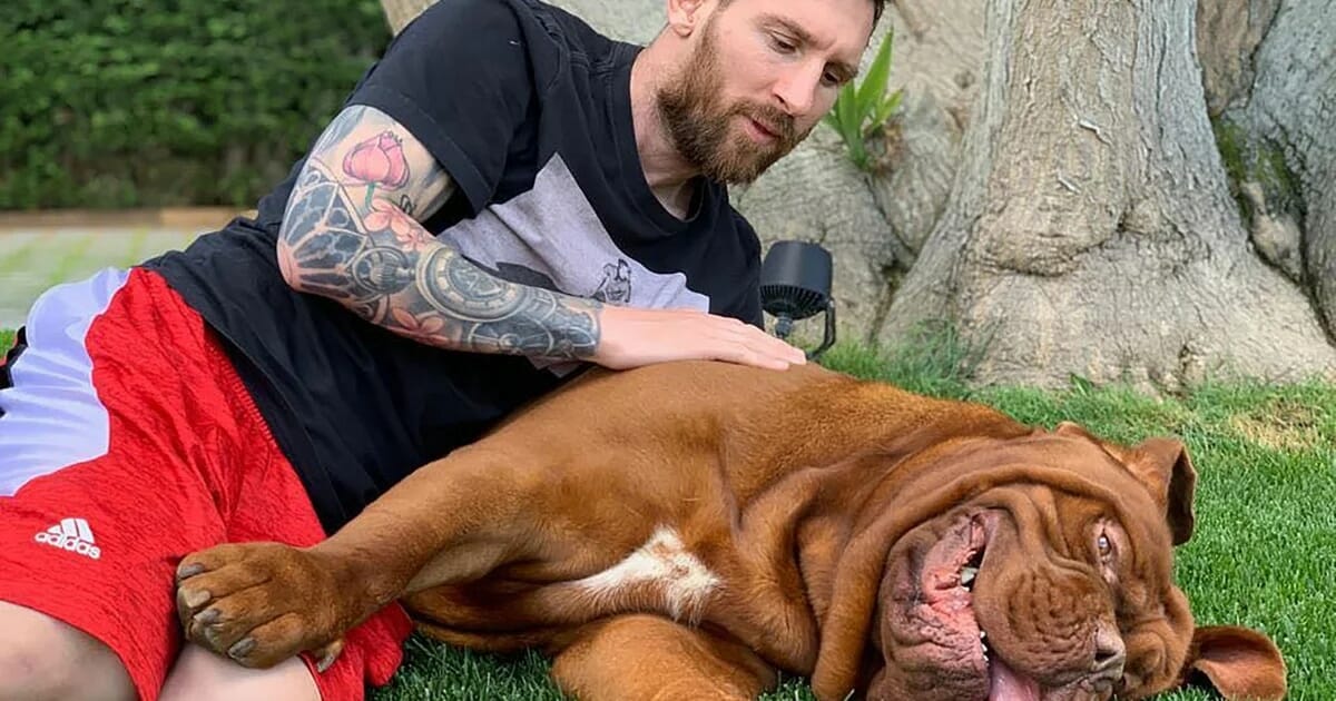 2Lionel Messi contó dónde está su perro Hulk
