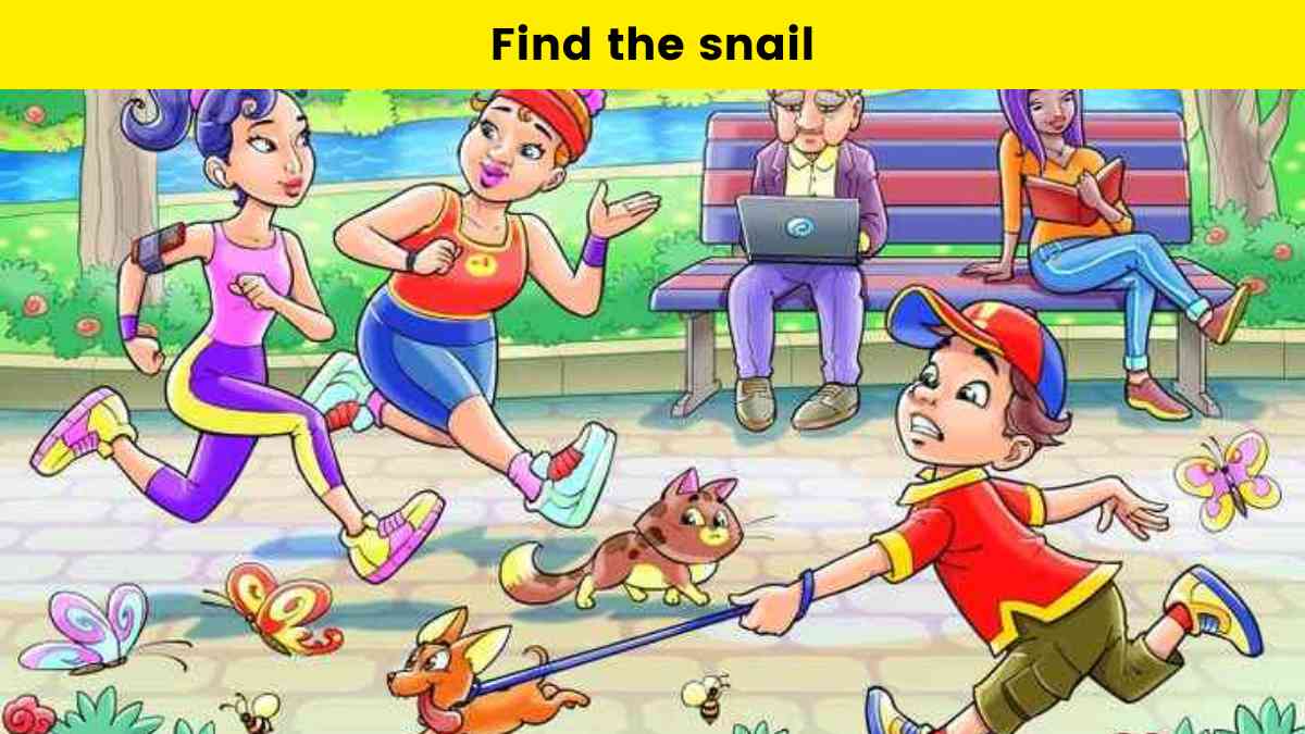 Visual Test- Find the snail in the park within 5 seconds