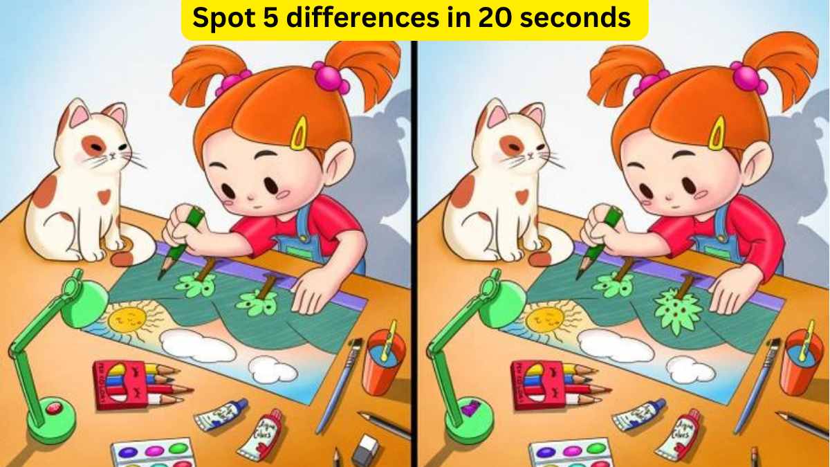 Spot the difference- Spot 5 differences in 20 seconds.