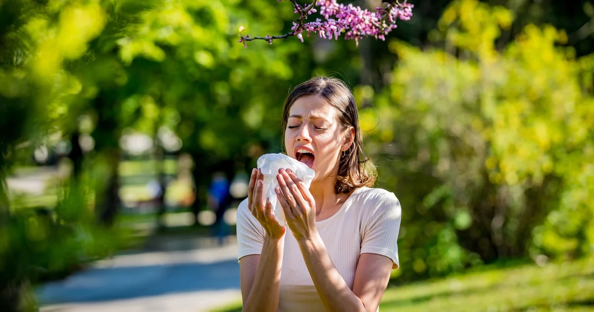 Aletas alérgicas: cómo cuidarse antes de la llegada de la primavera