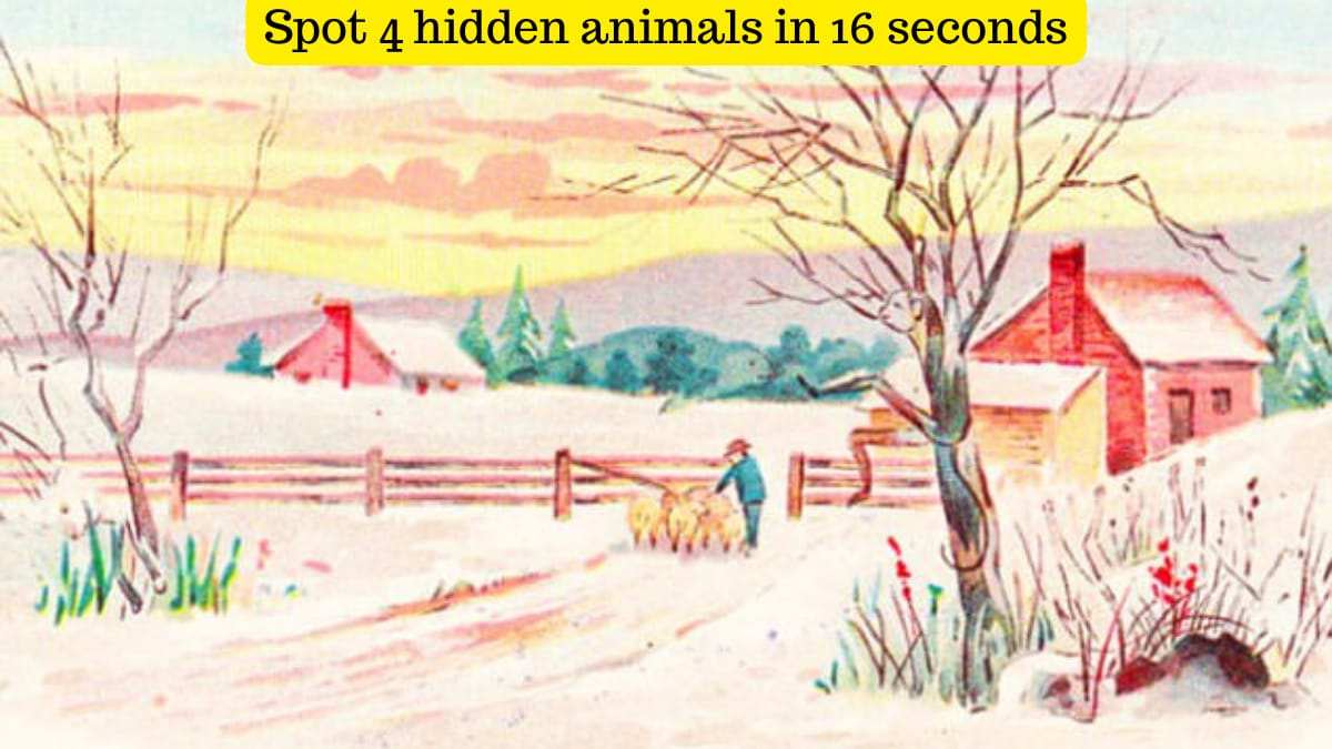 Optical Illusion- Spot 4 hidden animals within 16 seconds