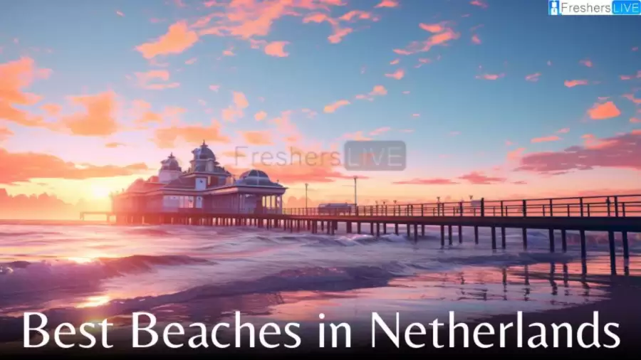 Best Beaches in Netherlands - Top 10 Seashores