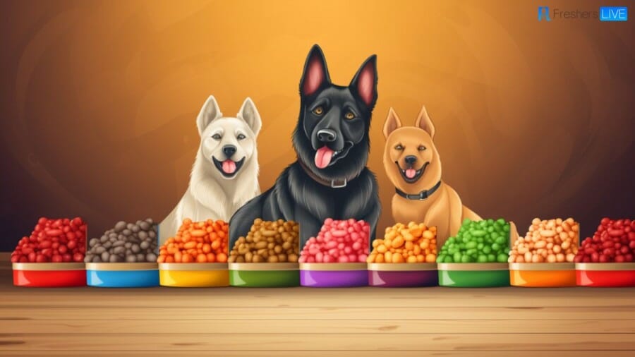 Best Dog Foods 2023 - Top 10 Picks For Pooch Palates