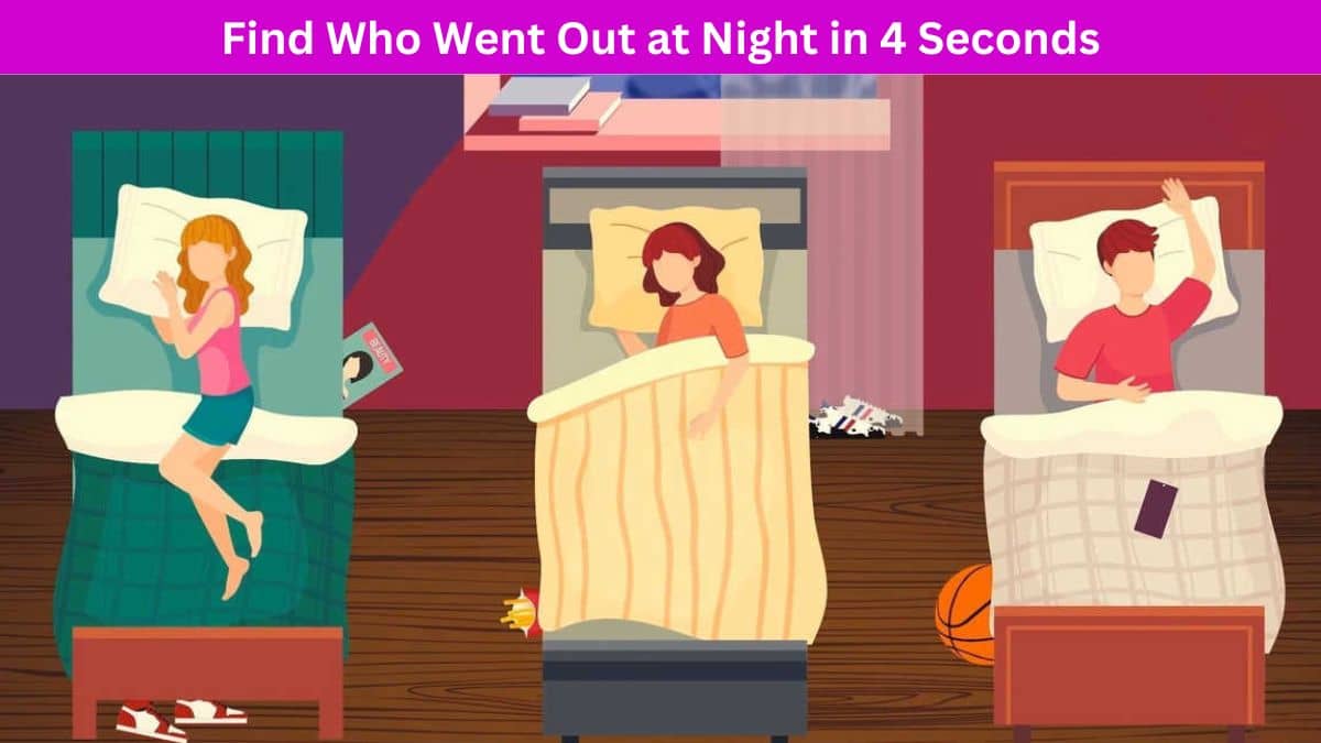 Find Who Went Out at Night in 4 Seconds