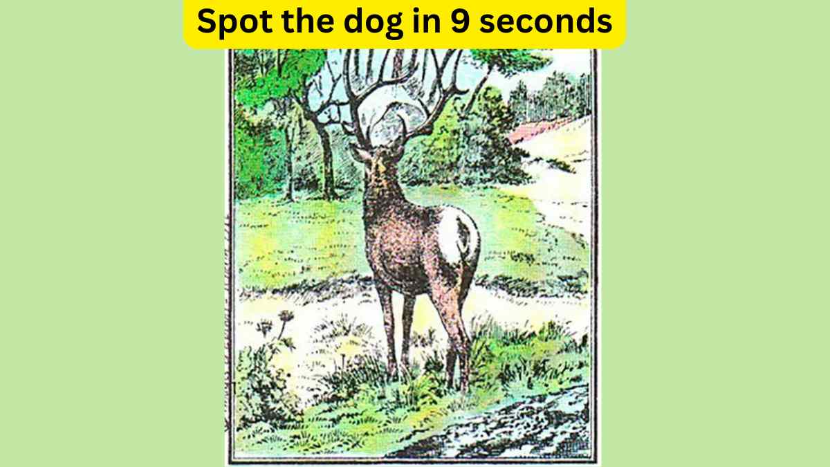 Brain Teaser- Spot the dog in the forest in 9 seconds