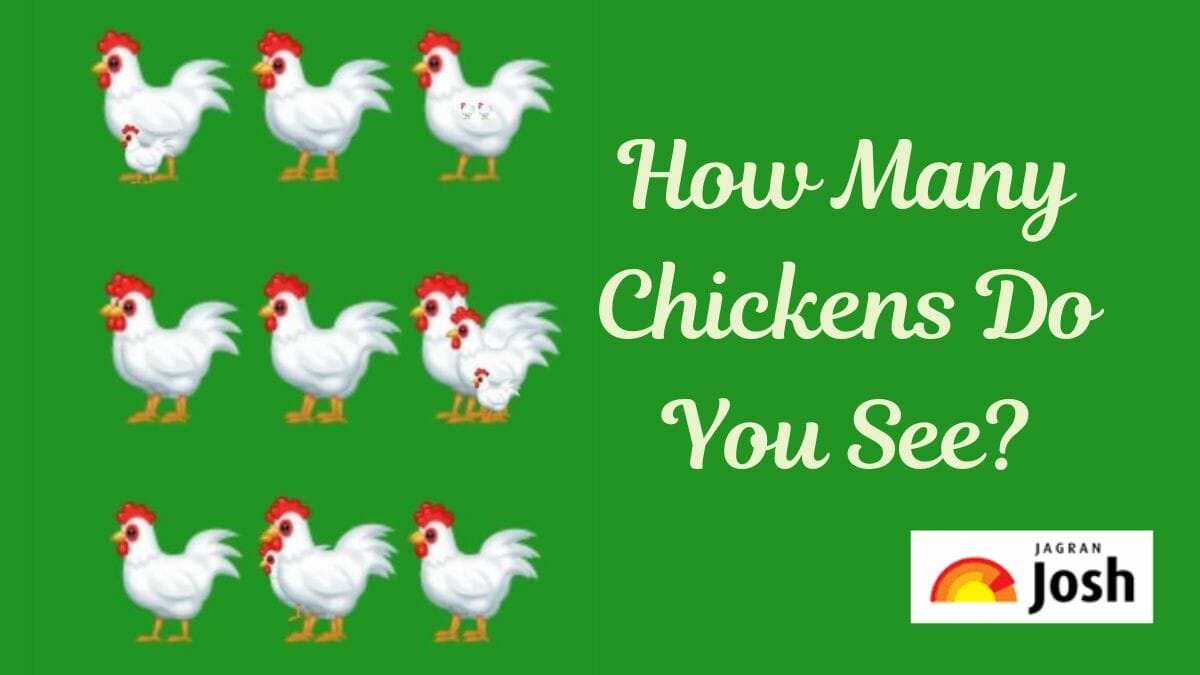 How many chickens do you see in the picture within 15 secs?