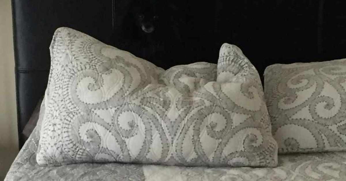 Can you spot the hidden dog in this optical illusion