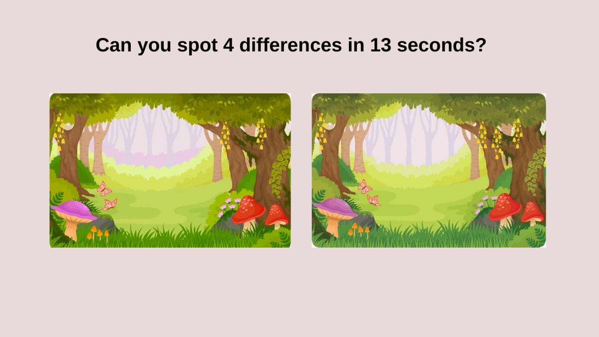Can you spot 4 differences in 13 seconds?
