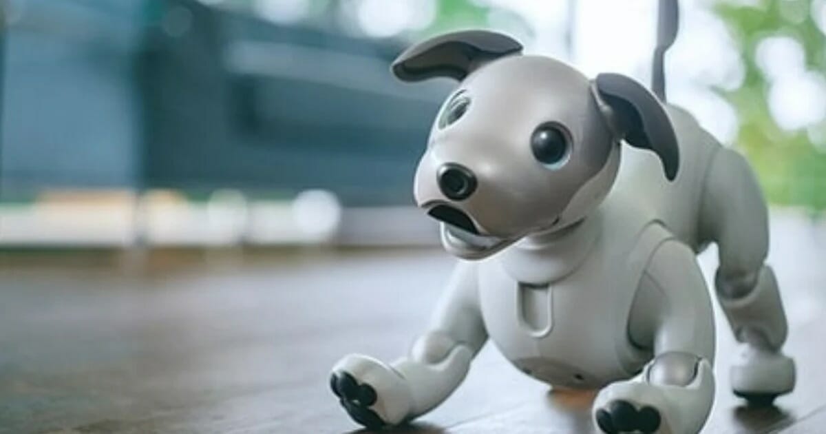 Comienza la adopción de perros robot con inteligencia artificialLa empresa japonesa permitirá utilizar mascotas Aibo, equipadas con inteligencia artificial, en instituciones médicas
