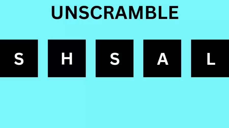 Unscramble SHSAL