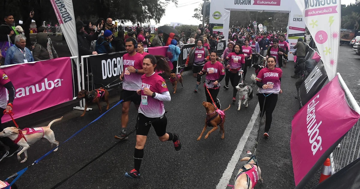 DogRun 2023: 30 fotos del evento que une la pasión por el deporte con el amor por los animales