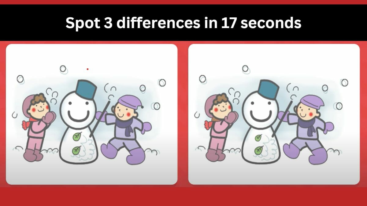 Spot The Difference- Spot 3 Differences In 17 Seconds!
