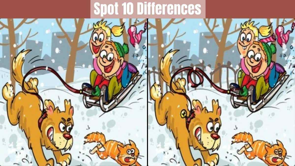 spot 10 differences in 13 seconds