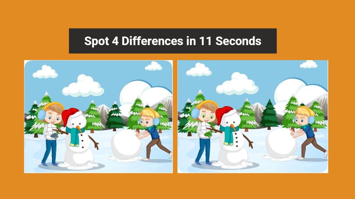 Spot the Difference - Spot 4 Differences in 11 Seconds