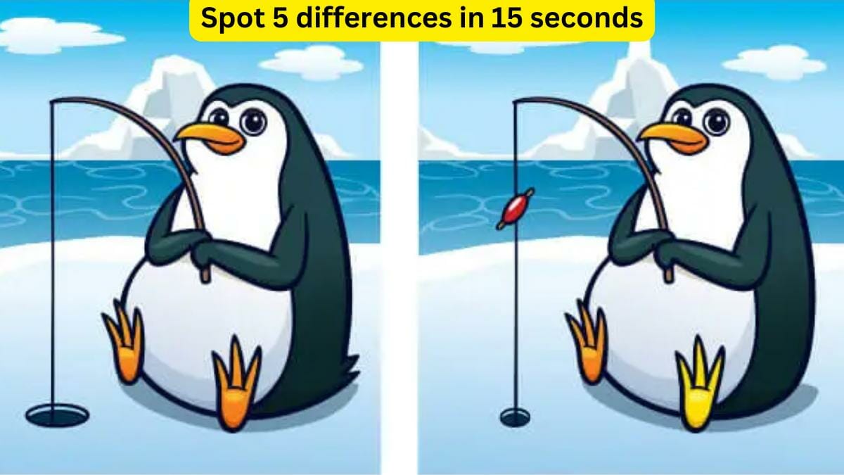 Spot the difference- Spot 5 differences in 15 seconds