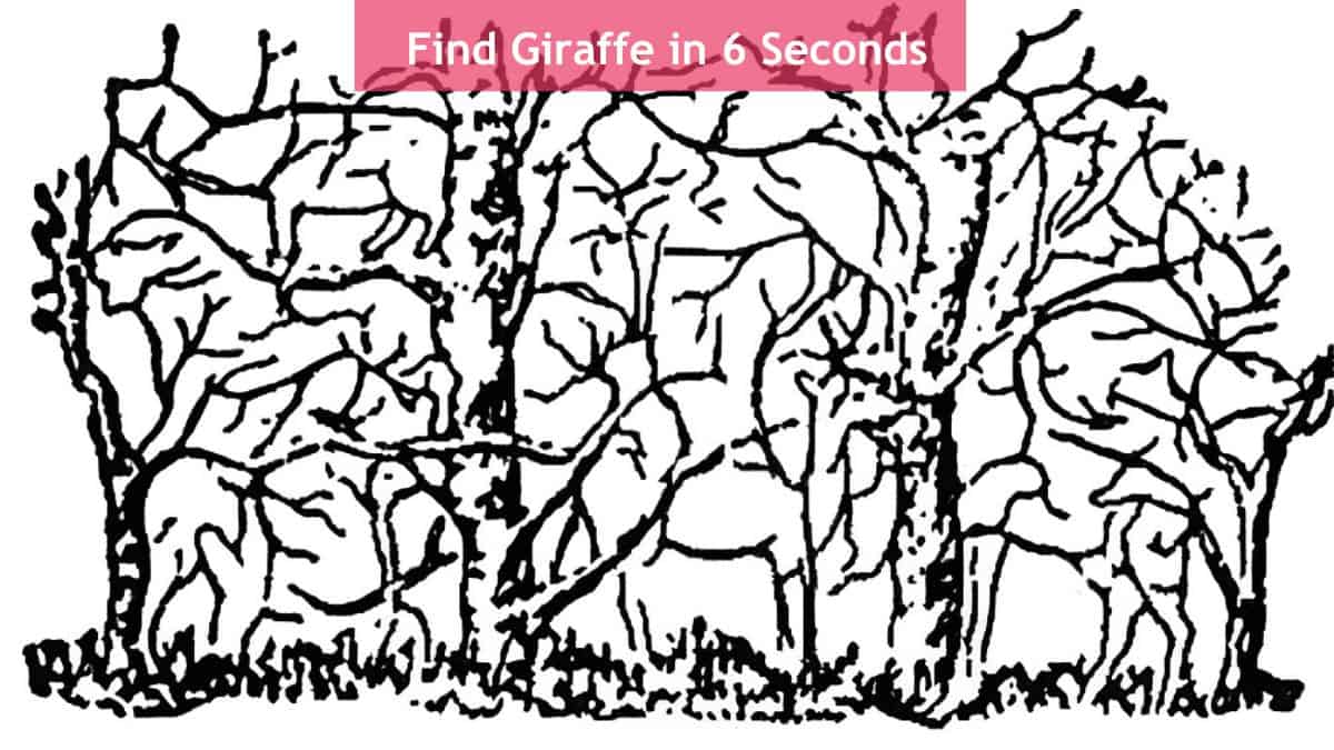 Optical Illusion - Find Giraffe in 6 Seconds