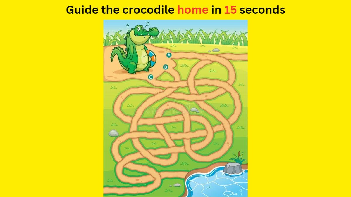 Brain Teaser Puzzle Maze- Guide the crocodile home in 15 second