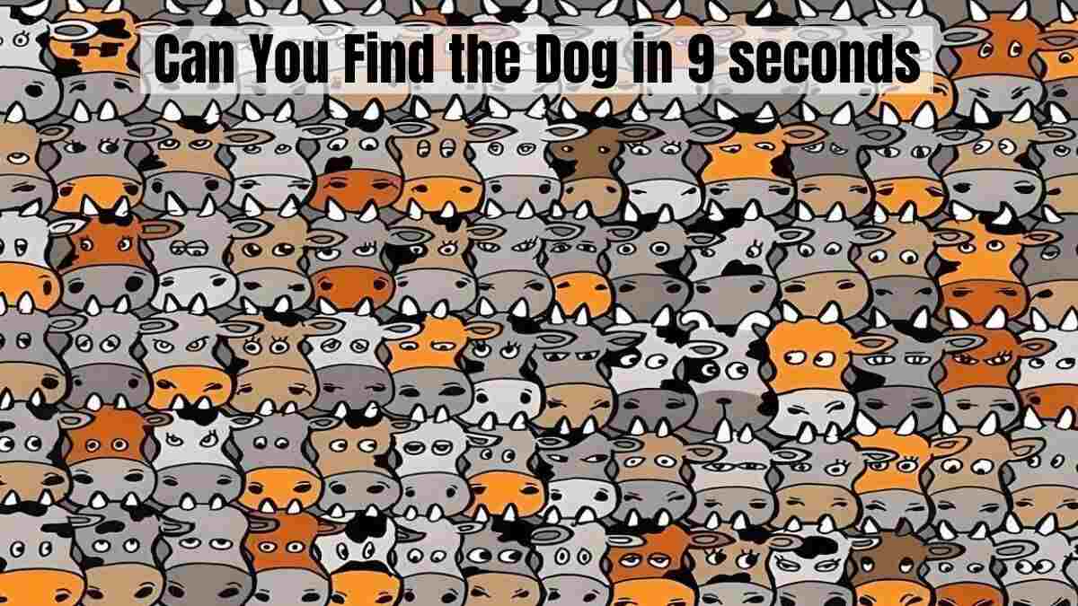 Can You Find the Dog in 9 seconds