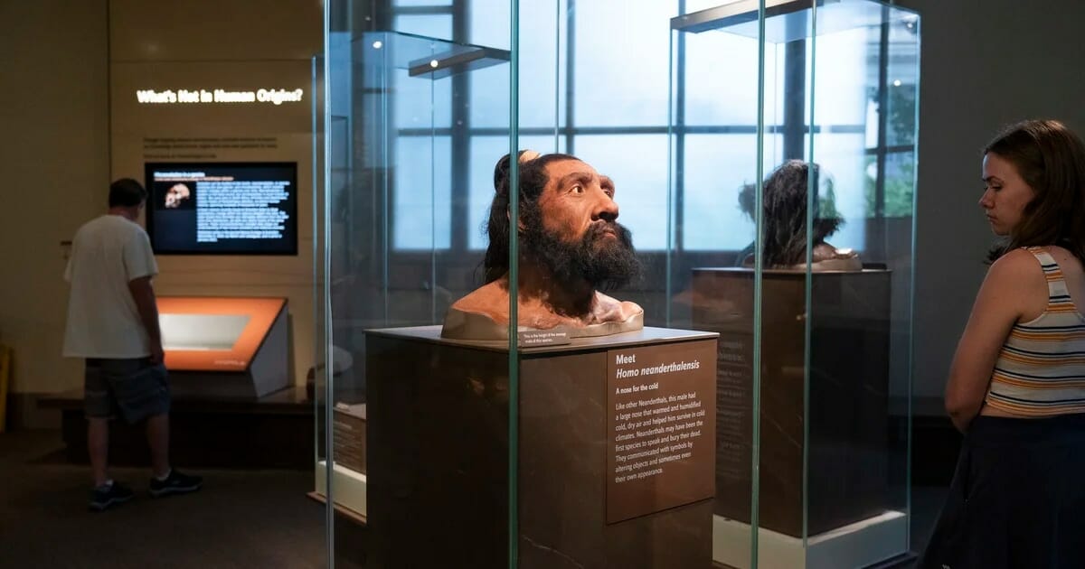 La ciencia revela un legado genético oculto: los neandertales viven dentro de nosotros y nos dan forma