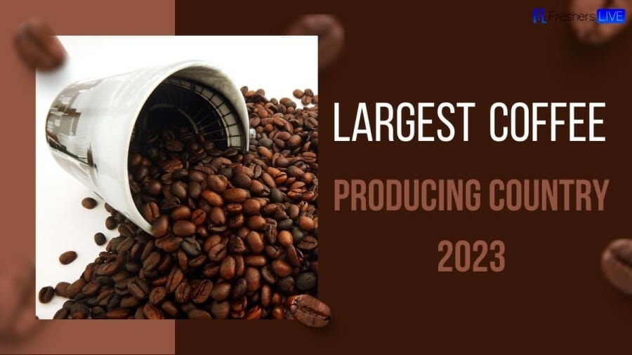 Largest Coffee Producing Country 2023 - Top 10 Countries