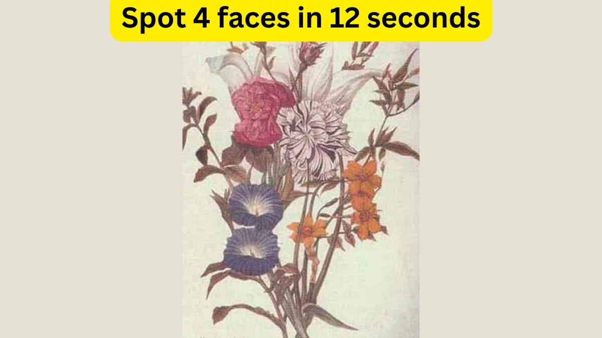Optical Illusion IQ Test: Spot 4 hidden faces in 12 seconds