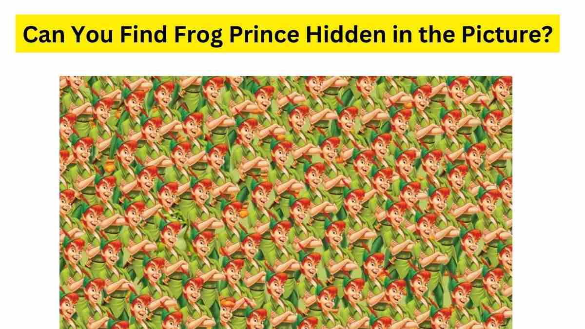 Do You See A Frog Here?