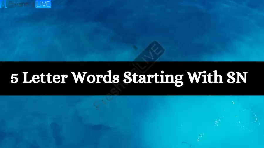 5 Letter Words Starts With SN All Words List