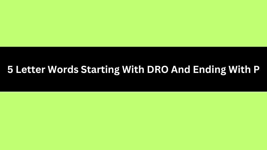 5 Letter Words Starting With DRO And Ending With P, List of 5 Letter Words Starting With DRO And Ending With P