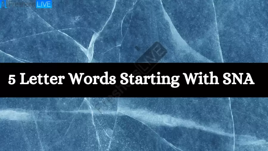 5 Letter Words Starts With SNA All Words List